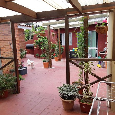Alicia Apartman Punta del Este Kültér fotó